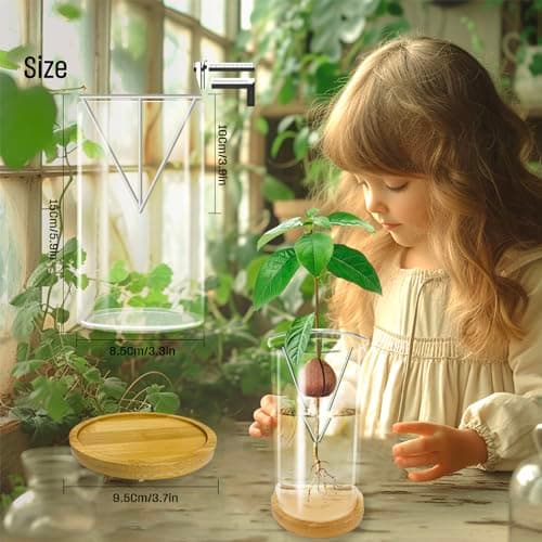KONIDUN Avocado Seed Starter Vase - Avocado Tree Growing Kit with Base and Sticker, Glass Avocado Pit Sprouting Plant Pot Gift for Women, Gardening Lovers Home Office Table Decoration, Indoor No Seed - Thumbnail 3