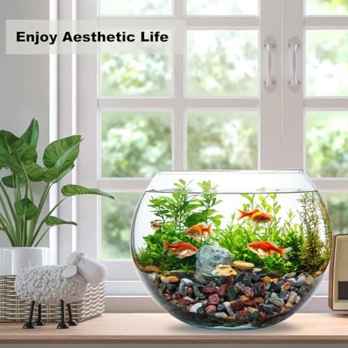 5LB Succulents Rocks for Plants Cactus Gravel Pebbles for Fish Tank 1/2 Inch Natural River Rocks for Vase, Aquarium, Landscaping,Bonsai,Terrarium Pebbles, Mixed Color - Thumbnail 2