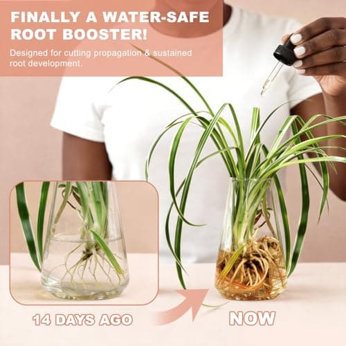 Root Drops Liquid Rooting Hormone for Cuttings | Fast Propagation Drops, Stronger Roots, Less Shock | Works in Water, Soil, Leca, Moss | for All Indoor Houseplants Like Pothos, Monstera (4 oz*2) - Thumbnail 2