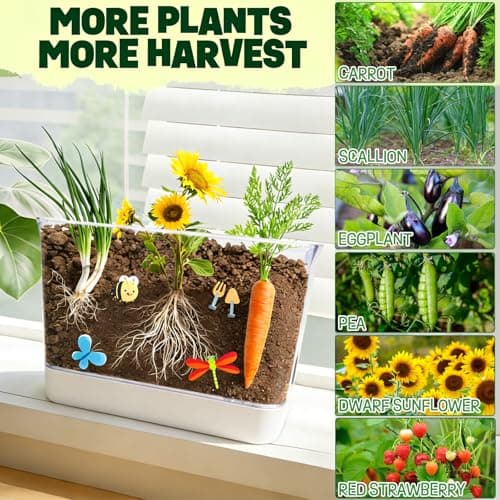 Large Root Viewer Kit for Kids STEM Science Toy Growing Kits for Ages 4, 5, 6, 7, 8, 9,10 Birthday Gifts for Boys Girls, DIY Set, Includes Strawberry, Eggplant, Dwarf Sunflower, Carrot, Pea, Scallion - Thumbnail 4