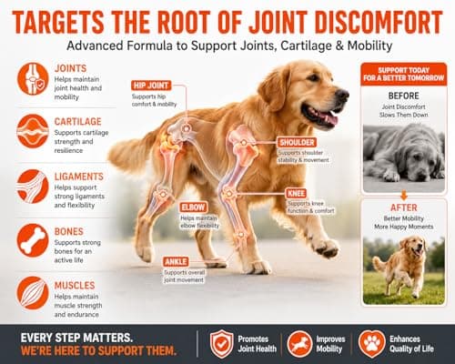 LANDCE Hip and Joint Chews for Dogs, 200 Soft Chews with Glucosamine Chondroitin, MSM, Green Lipped Mussel, UC-II Collagen & Hyaluronic Acid, Mobility Support for Dogs - Thumbnail 4