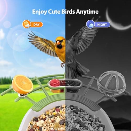Onforu Smart Bird Feeder with Camera, 2.5K QHD Camera Birds Feeder Outdoor Solar Powered, AI Identification, Instant Notifications, 2.4GHz WiFi, 2-Way Audio & Night Vision, Gift for Bird Lovers - Thumbnail 3
