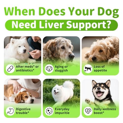 POPPAW Dog Liver Support Chews - with Milk Thistle (Silybum), Same & NAC - Liver Supplement for Metabolic - Detox - Gut & Immune Health - Beef Flavor, 90 Soft Chews - Thumbnail 5