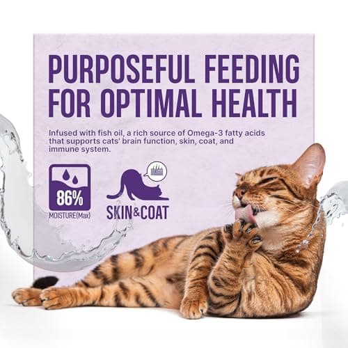 PETPHABET Lickable Cat Treats Spoon, 36 Count Creamy Puree Kitten Treats Salmon & Fish Roe Recipe, Functional Wet Paste Cat Snacks for Skin & Coat Support, Grain-Free Kitty Treat with Taurine - Thumbnail 4
