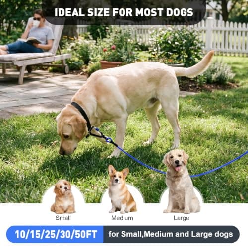 Libbipaw Dog Tie Out Cable 10FT Heavy Duty Chew Proof, Tangle-Free Runner with 360° Swivels & Locking Clip for Large Dogs Up to 250LBS - Rust Proof Leash for Yard, Camping, Outside (Blue 10FT) - Thumbnail 6