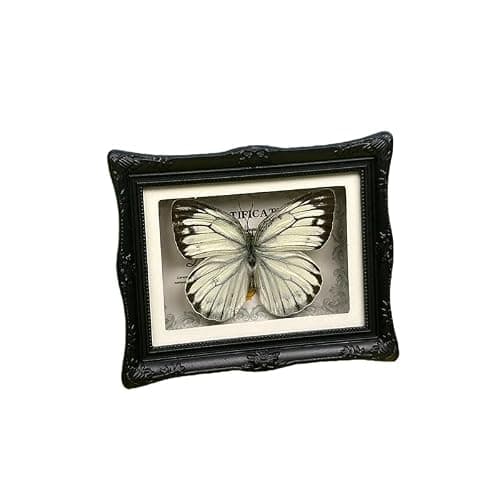 1Pcs Real Butterfly Framed Handmade, Taxidermy Butterfly Shadow Box Collection, Framed Butterfly Taxidermy for Oddities and Curiosities Gifts Tabletop Ornaments (#17-butterfly Specimen+photo Frame) - Thumbnail 2