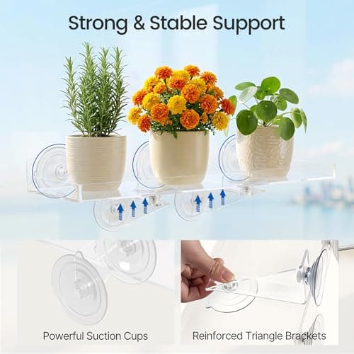 Leafory 2PCS Window Plant Shelves, 15.7 X 5.9inch Clear Acrylic Floating Shelf Strong Suction Cup Plant Holder with Bracket, Window Shelf for Plants Indoor - Thumbnail 3