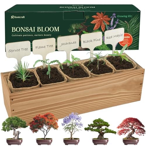 5 DIY Bonsai Tree Kit for Beginners, Complete Indoor Gardening Starter Kit with Seeds, Soils, Pots & Tools, Unique Birthday Gifts Ideas for Women, Men - Image 1