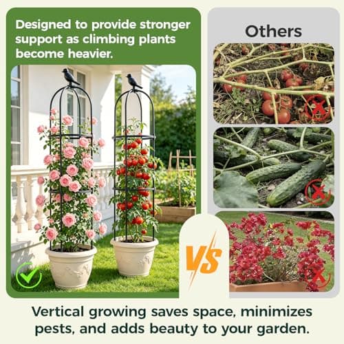 1pcs Garden Obelisk Trellis for Climbing Plants Outdoor, Tomato Cages for Garden, Metal Rustproof Plant Support Trellis for Potted Plants, Rose, Vine, Vegetable, Flower for Outdoor & Indoor Use - Thumbnail 2