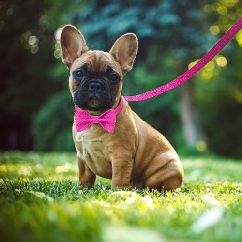 Jumpress Bling Bow Tie Dog Collar and Leash Set, Cute Pink Girl Dog Collar with 5ft Leash for Small Medium Dogs Daily Walking or Holiday Party (Hot Pink, Neck fit 11-16’’) - Thumbnail 4