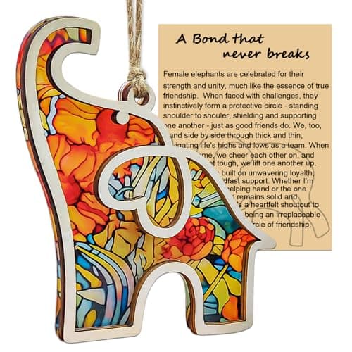 Best Friend, Friendship Elephant Ornament with Story Card, Elephant Gifts for Women, for Women, Sister, Bestie, Unique Friendship Christmas Ornaments - Image 1