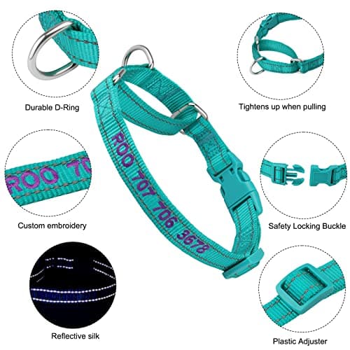 Personalized Martingale Dog Collar-Reflective Martingale Collars with Buckle, Custom Training Martingale Dog Collars Embroidered with Name and Phone Number for Small Medium Large Dogs - Thumbnail 3