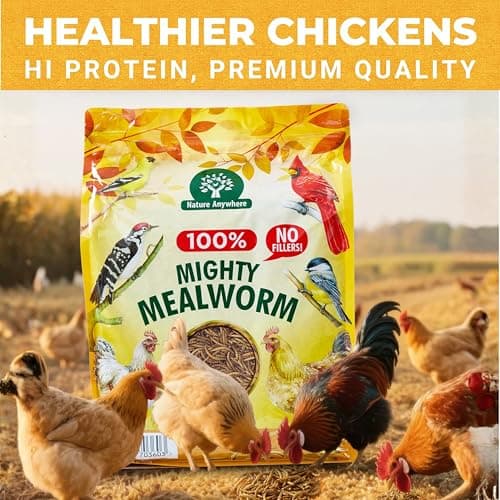 Nature Anywhere Mealworms for Chickens 5LB Mighty Mealworm, Chicken Feed Topper, Chicken Food for Laying Hens, No Fillers, SGS Tested, Resealable Bag, Bird Food for Outside Wild Birds - Thumbnail 6