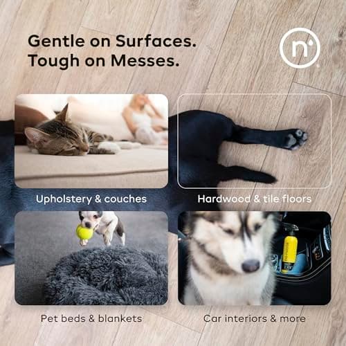 Nonaste Pet Stain & Odor Eliminator Spray (16 Oz, Pack of 1) – Enzyme Cleaner Spray for Dogs & Cat Messes, Works on Carpets & Upholstery | Pet & Kid Safe, Urine Odor Stain Remover, Light Fresh Scent - Thumbnail 4