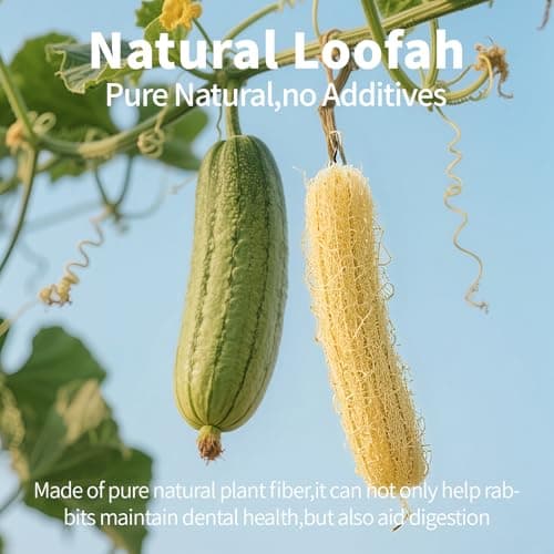 BESNEW 3 PCS Rabbit Chew Toys,100% Natural Loofah Without Additives,Bunny Chew Toys for Teeth,Fiber-Rich Rabbit Treats for Bunny Chinchilla Dogs - Thumbnail 6
