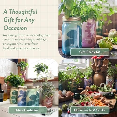 Modern Sprout Garden Jar & Herb Stripper Bundle, Self-Watering Herb Grow Kit w/Recyclable Mason Jar + 3-in-1 Prep, Peeler & Grater Plate, Indoor Gardening & Kitchen Gift Set (Rosemary & Parsley) - Thumbnail 5