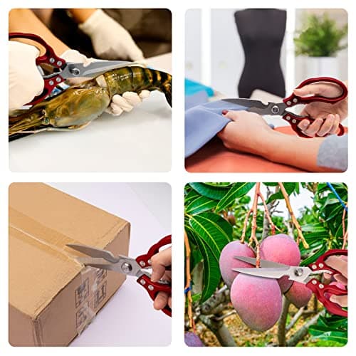 CGBE Kitchen Scissors All Purpose Heavy Duty, Ultra Sharp Stainless Steel Kitchen Shears Dishwasher Safe, Cooking Shears for Chicken, Poultry, Fish, Meat, Herbs & Grapes with Non-Slip Grips (Red) - Thumbnail 4