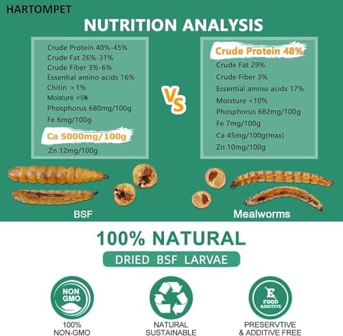HARTOMPET Better Than Dried Mealworms for Chickens 1 lbs - 85X Calcium Than MealWorms - Non-GMO Chicken Feed Additive & Molting Supplement - Black Soldier fly Larvae Treats for Hens, Ducks, Wild Birds - Thumbnail 2
