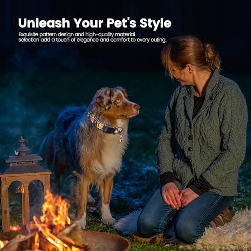 Anti-Lost Dog Collar with Smart QR ID Tag – Instant Scan to Contact Owner, No Battery No GPS Digital Pet ID Collar, Quick Release Soft Adjustable with Secure Metal D-Ring - Thumbnail 3