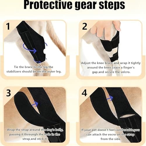 EGBULL Dog Hind Leg Support Brace - Thumbnail 3