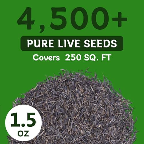 LUOJIBIE Cosmos Seeds, 4,500+ Cosmos Flower Seeds for 2026, Wildflower Seeds for Planting Outdoor Garden, Crazy Blend Mix Color, No Filler, 1.5 Oz Packet, Easy to Grow - Thumbnail 4