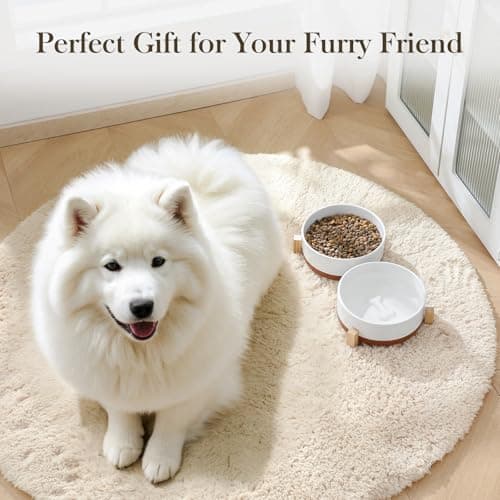 MALACASA Dog Bowls Set with Wooden Stand, 6 Cups Food Water Bowl Set for Medium to Large Size Dogs, Ceramic Pet Bowls with Weighted Non-Slip Base, Basic Bowls for Your Dog,58Oz - Thumbnail 6