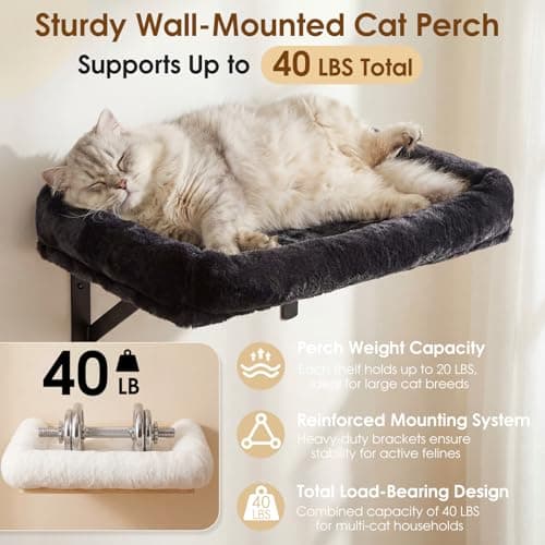 Cat Wall Shelves 5-in-1 Cat Wall Furniture Set for Large Cats, Floating Wall Mounted Cat Climber with Steps, Condo, Scratch Pad and Scratching Post, Space Saving Cat Shelves for Indoor Cats - Thumbnail 3