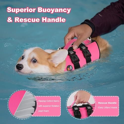 Dogcheer Dog Harness Life Jacket, High Buoyancy Neoprene Dog Life Vest for Swimming Boating, Adjustable Puppy Swim Vest Reflective Pet Float Vest for Small Medium Large Dogs - Pink, S - Thumbnail 3