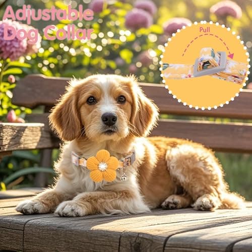 Small Dog Collar with Flower, Spring Dog Collar for Girl Dog Collars for Small Dogs Cute Dog Collar with Bell, Adjustable Length - Thumbnail 5