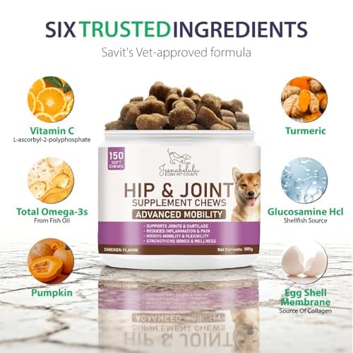 JESNABELULU Joint Care Chews for Dogs-High Levels of Glucosamine, Green Lipped Mussels, Omega 3 and Turmeric - Hip and Joint Supplement for Dogs to Helps Ease Discomfort & Stiffness-150 Soft Chews - Thumbnail 3