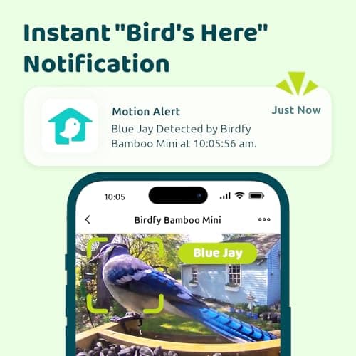 Birdfy Smart Bird Feeder with Camera, High-End Bamboo, Solar Powered Bird-Feeder with 2K Camera for Live Stream&Permanent AI Identifies Birds with Motion Detection,Ideal for Mom,Gran&Me - Thumbnail 5