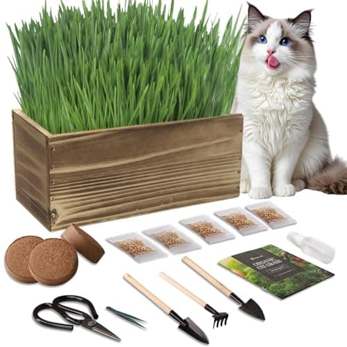 Cat Grass for Indoor Cats – 5X Locally Sourced Wheatgrass Seeds, Wood Planter, Soil Discs & Hand Tools – BPA-Free – Prevents Hairballs, Aids Digestion – Cat Grass Grow Kit Gift for Cat Lovers
