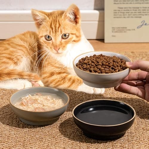 Cat Bowl 3 Pack, Pet Plate, Premium Ceramic Food Grade Pet Bowl Suitable for Dry and Wet Food, 5 in Feeding Indoor Cats, Kittens and Small Dogs, Dishwasher Safe (Black White Gray) - Thumbnail 4