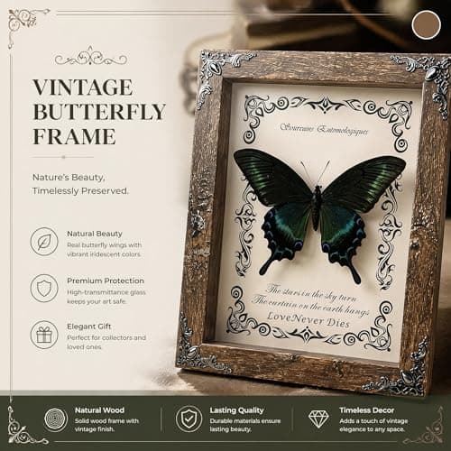Wugakio Real Butterfly Framed - Hanging wood grain photo frame, Taxidermy Animals for Oddities and Curiosities Gifts (papilio maackii - Wood Grain Photo Frame) - Thumbnail 6