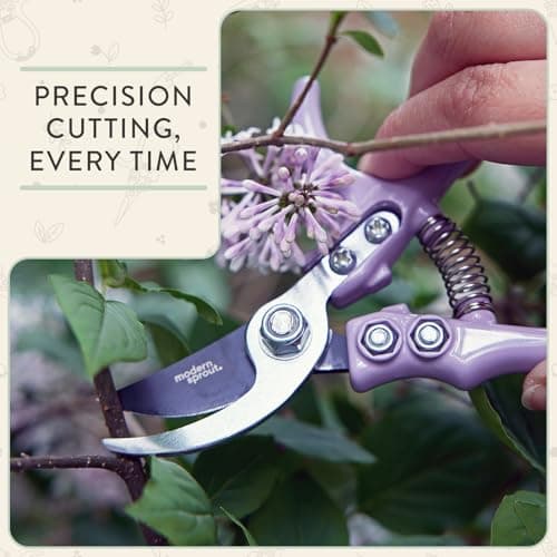 Modern Sprout Hand Pruners & Shears Set with Blister Pack - Lightweight Gardening Tools with Easy Lock - Sharp Carbon Steel Blades -Rust Resistant Scissors for Herbs, Flowers - Sage - Thumbnail 2
