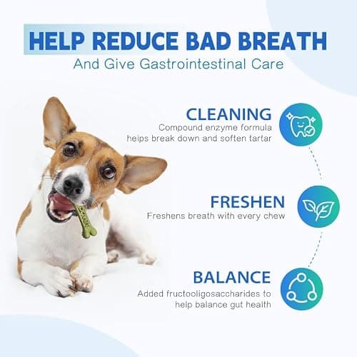 Dr.vet Dog Dental Chews, Dog Dental Sticks for Plaque and Tartar Remover for Dogs, Dog Breath Freshener and Teeth Cleaning Treats, Rawhide Free Dog Chews for Small Breed Dog Treats, 100g (7 Sticks) - Thumbnail 3