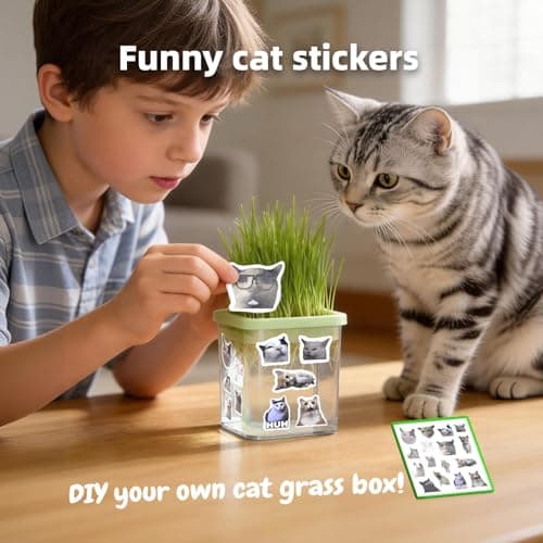 Hydroponic Cat Grass Kit with 5 Pack Non GMO Seeds & Scissors – Small Size for Frequent Fresh Batches, Grow up to 5 Times, Easy 3-Step Setup, Gifts for Cat Lovers (Food-Safe PP&AS, 7-Day Growth) - Thumbnail 6