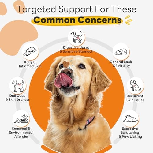 CleverasHealth Dog Allergy Relief Chews 200ct Relieve Seasonal Allergies and Skin Itching Alleviate Licking Behavior Boosting Immunity and Hair Protection - Chicken - Thumbnail 4