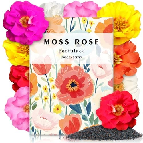 LUOJIBIE Moss Rose Seeds, 20,000+ Bulk Flower Seeds for Planting Outdoors(99% Pure Live, Non-GMO), Mixed Colors and Large Blooms, Attracts Pollinators, Easy to Grow - Image 1