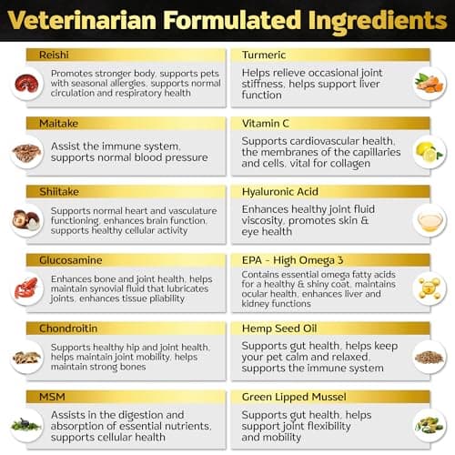 Life4Legs Premium Hip and Joint Supplement for Dogs, Glucosamine for Dogs with Chondroitin, MSM, Turmeric & Omega 3, Daily Dog Joint Supplement Soft Chews, Bacon, 30 Count - Thumbnail 6