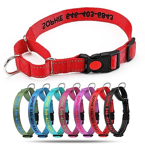 Personalized Martingale Dog Collar-Reflective Martingale Collars with Buckle, Custom Training Martingale Dog Collars Embroidered with Name and Phone Number for Small Medium Large Dogs - Thumbnail 2