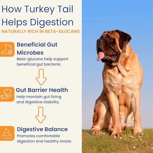 PupSip Turkey Tail Mushroom for Dogs – Dog Mushroom Powder Supplement for Immune Support, Gut Health & Digestive Wellness – Vet-Formulated with Cordyceps & Bone Broth – 12 Sticks - Thumbnail 5