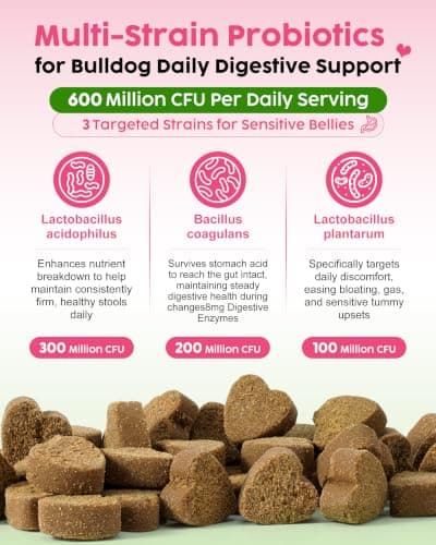 GJYC PET Probiotic Soft Chews for Dogs & Cats - 600M CFU Multi-Strain Probiotics, Prebiotics & Digestive Enzymes - Chicken Flavor Daily Gut Health Supplement - 60 Soft Chews (120g) - Thumbnail 3