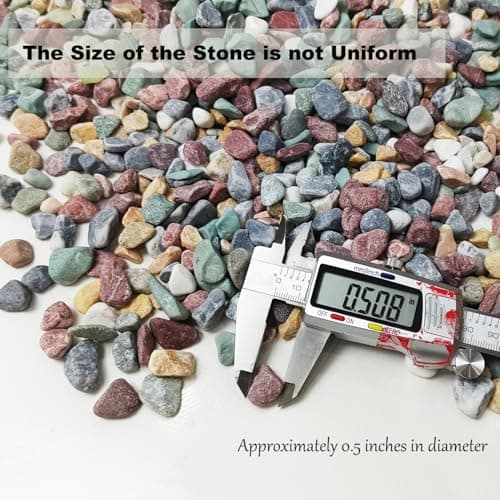 5LB Succulents Rocks for Plants Cactus Gravel Pebbles for Fish Tank 1/2 Inch Natural River Rocks for Vase, Aquarium, Landscaping,Bonsai,Terrarium Pebbles, Mixed Color - Thumbnail 5