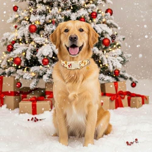 Astdogio Small Christmas Dog Collar, Adjustable Dog Collars with Gingerbread & Red Bow Pattern, Cute Dog Christmas Collars Winter Puppy Collar,Holiday Collar for Girl Boy Dogs-M - Thumbnail 5