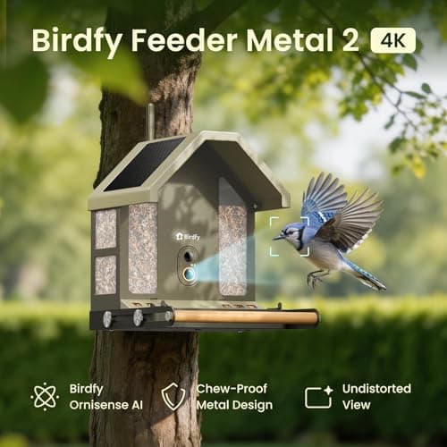 Birdfy Smart Bird Feeder with Camera, 4K UHD Video, Dual-Band 2.4/5GHz Wi-Fi, Solar Powered, AI Identification Lifetime Free, Bird Watching Gift for Bird Lovers - Thumbnail 2