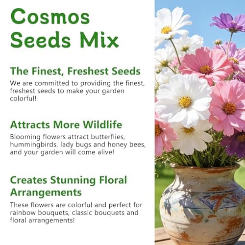 LUOJIBIE Cosmos Seeds, 4,500+ Cosmos Flower Seeds for 2026, Wildflower Seeds for Planting Outdoor Garden, Crazy Blend Mix Color, No Filler, 1.5 Oz Packet, Easy to Grow - Thumbnail 5