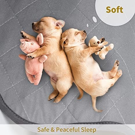Washable Reusable Dog Pee Pads, 34"x52" Absorbent & Waterproof Puppy Training Pad for Crate, Playpen & Carpet, Large Potty Pads for Dogs, Cats & Small Pets - Thumbnail 3