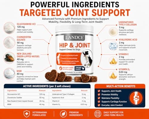 LANDCE Hip and Joint Chews for Dogs, 200 Soft Chews with Glucosamine Chondroitin, MSM, Green Lipped Mussel, UC-II Collagen & Hyaluronic Acid, Mobility Support for Dogs - Thumbnail 5