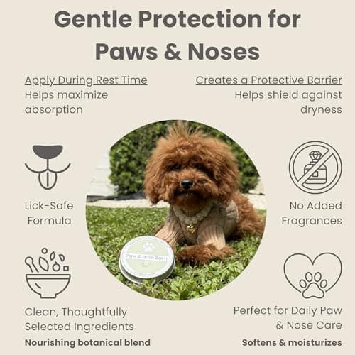 Ali+Oli Pets Paw & Nose Balm for Dogs – Daily Paw Care Grooming Balm with Organic Oils – Gentle Moisturizing Balm for Dry, Rough Paw Pads - Thumbnail 2